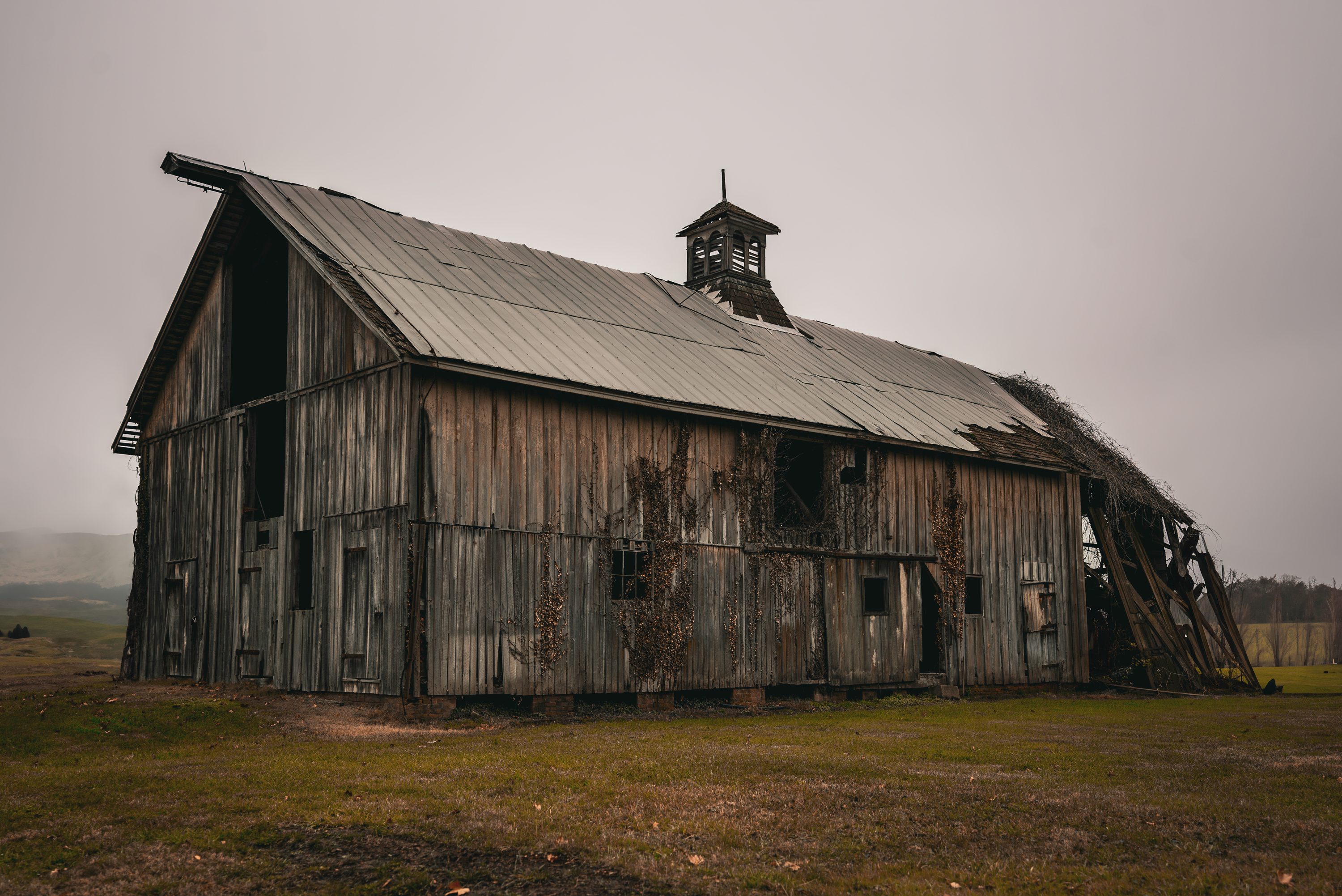 Farm buildings sit on open Eastern Shore farmland beneath a wide sky.