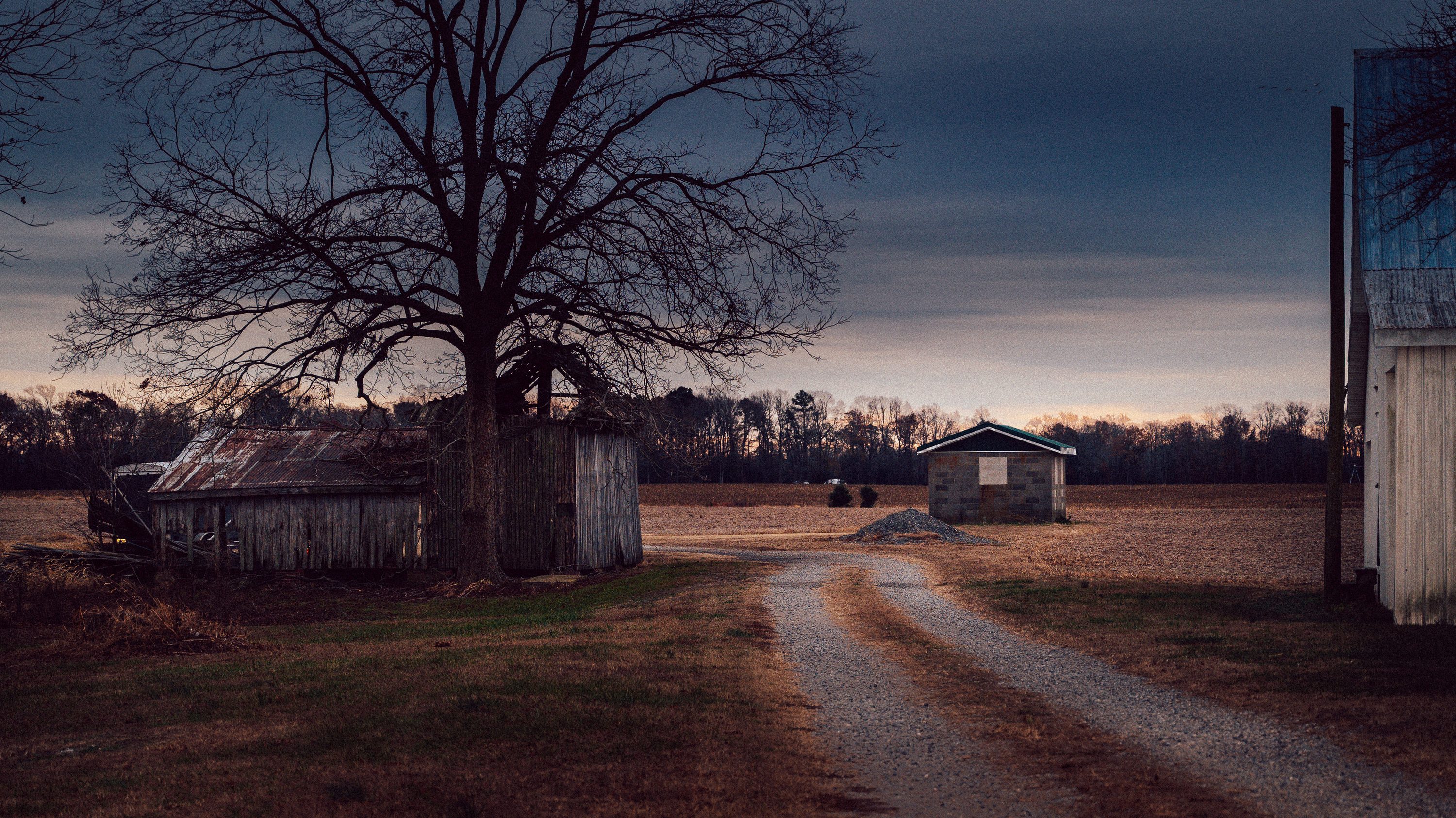 A dirt path leads through trees toward open land.
