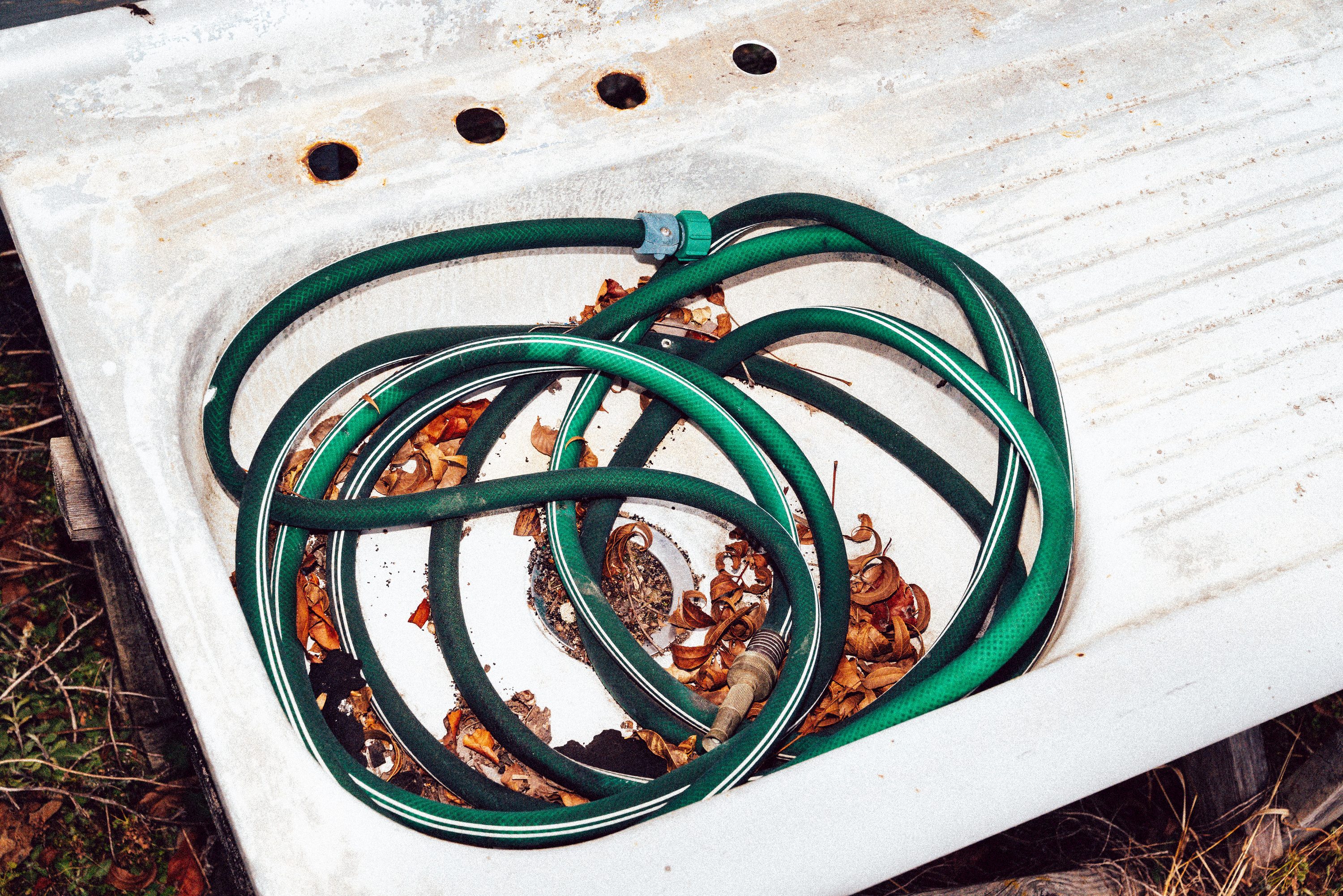 A garden hose lies coiled in an outdoor sink left to the weather.