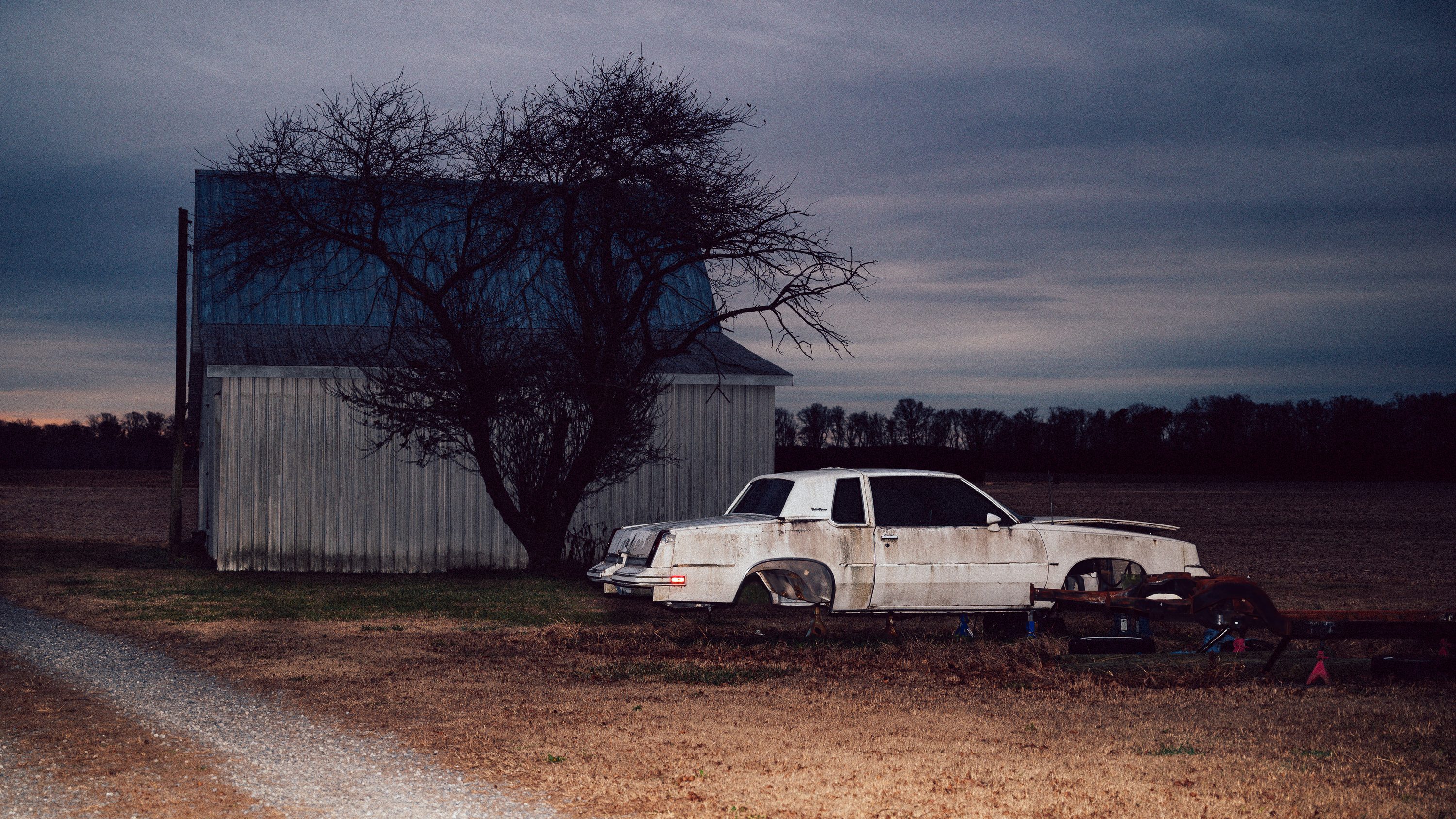 An old car rests in tall grass beside farmland.